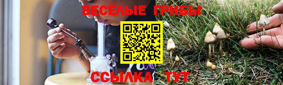 Галлюциногенные грибы MAGIC MUSHROOMS Буйнакск